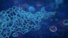 Image of molecules under a microscope