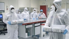 Pure Health, SEHA, merger