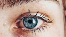 Eye