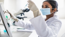 Scientist working in the laboratory