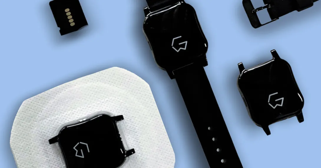 Several GraphWear devices